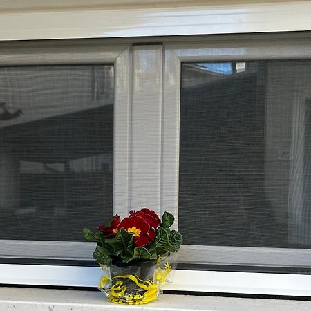 Bouganville Casa Vacanza Ambiente Climatizzato Con Wi Fi 피네토 외부 사진