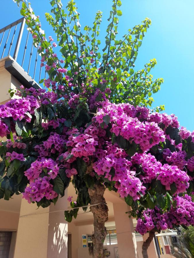 Bouganville Casa Vacanza Ambiente Climatizzato Con Wi Fi 피네토 외부 사진