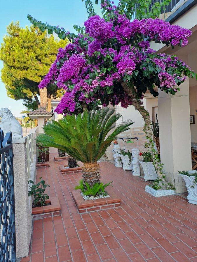 Bouganville Casa Vacanza Ambiente Climatizzato Con Wi Fi 피네토 외부 사진