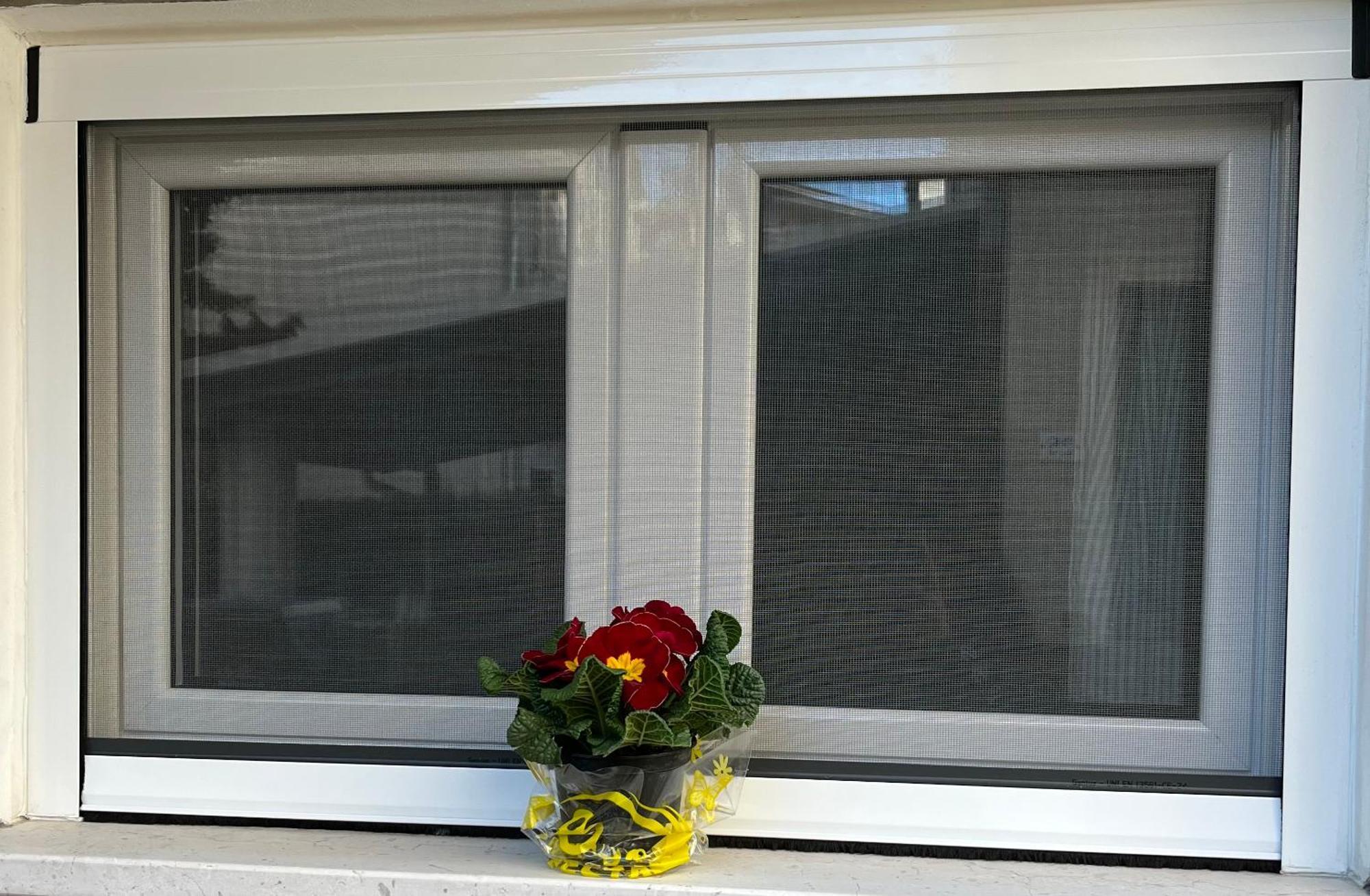 Bouganville Casa Vacanza Ambiente Climatizzato Con Wi Fi 피네토 외부 사진